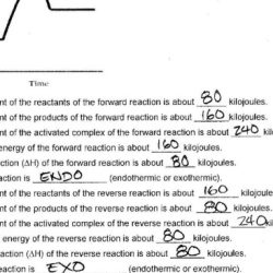 Phase diagram worksheet with answers