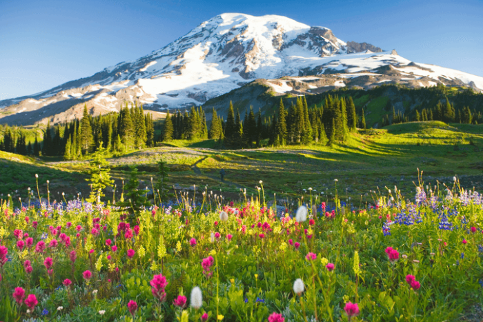 Mt helens st memories great rainier