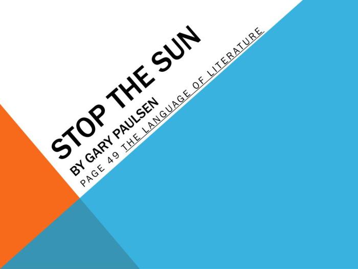 Stop the sun by gary paulsen